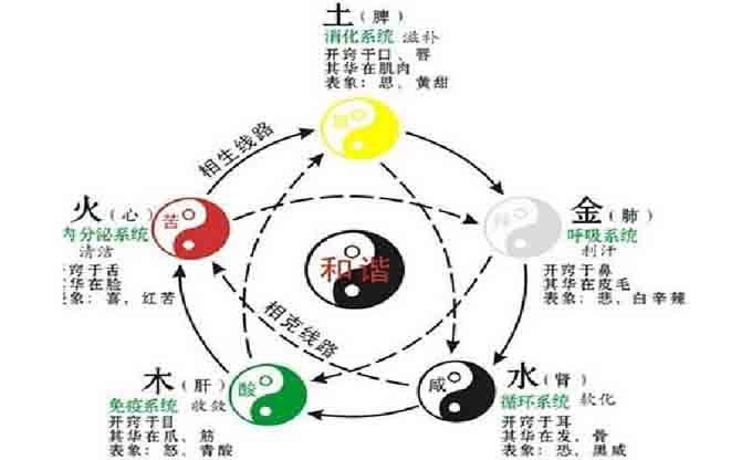 養生會所裝修設計風水布局